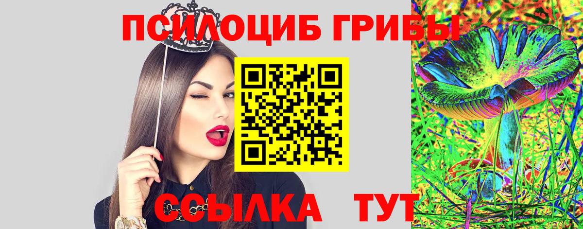 Псилоцибиновые грибы Psilocybe  Вход с VPN  Кириши  Галлюциногенные грибы MAGIC MUSHROOMS 